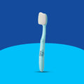 Brush